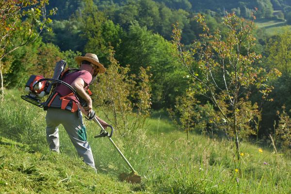 Cost of Slope Trimming in Hattiesburg